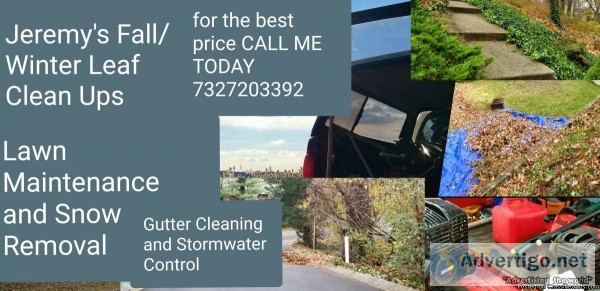 FallWinter Leaf and Brush Clean Ups