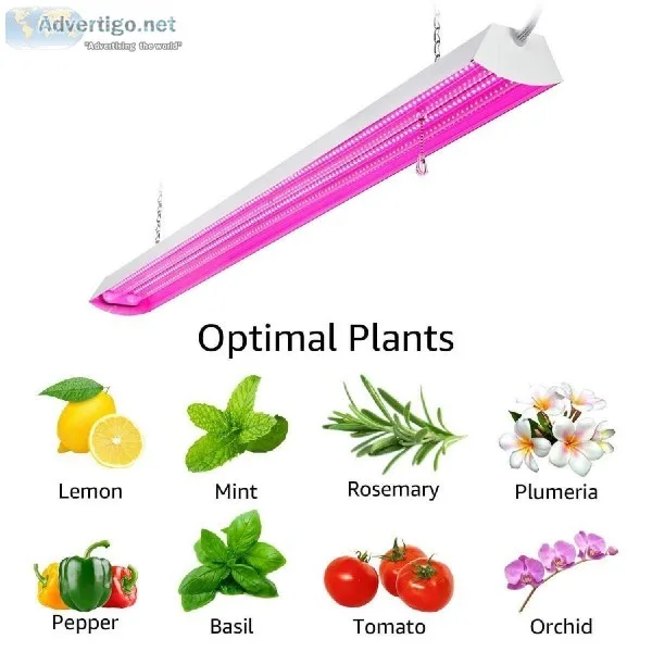 LED Grow Light for Indoor Plantations