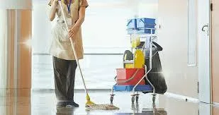 Professional Cleaner sin Reading  Advent Cleaning Services