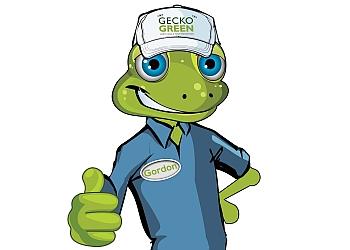 Gecko Green