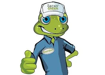 Gecko Green