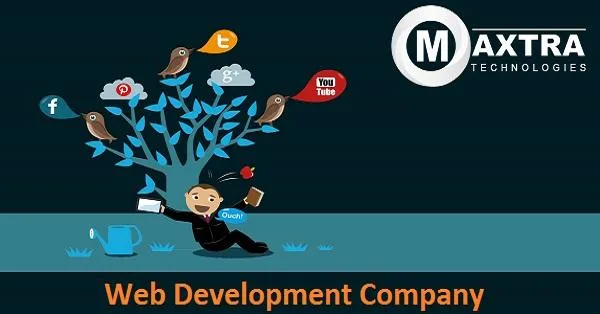 Hire Wordpress Web Developer  Web Development Services
