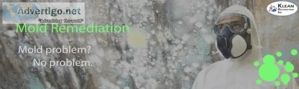 Mold Remediation Companies in Indianapolis (IN)