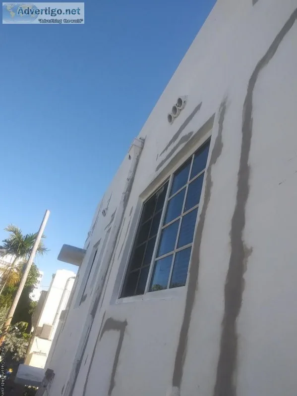 Pintor profecional