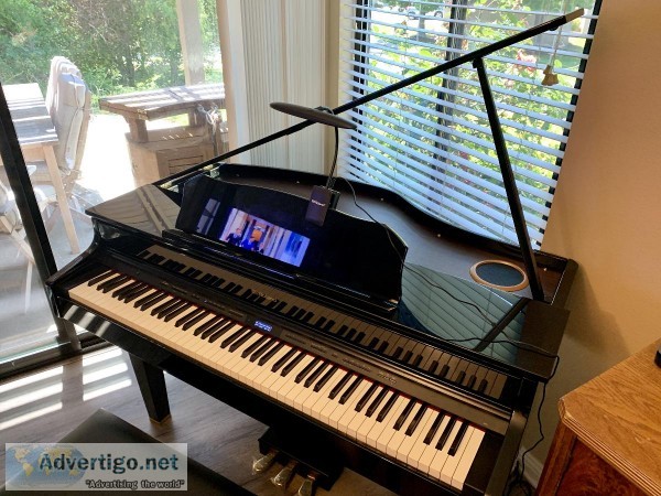 Mint Condition 2018 Roland GP607
