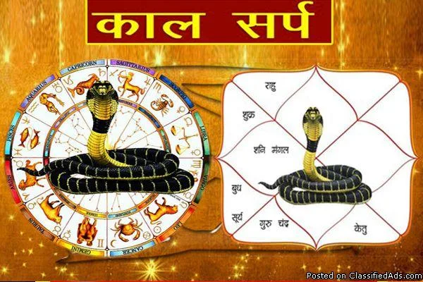 Kaal Sarp Yog remedies - (91-9950660034) Pt. Balwant Jyotishi Ji