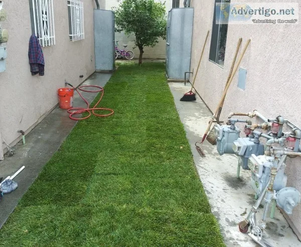 Landscaping Services