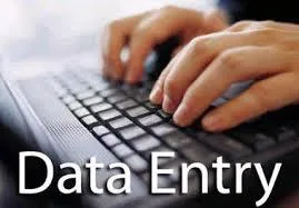 Data Entry Operator Navision ERP Textile