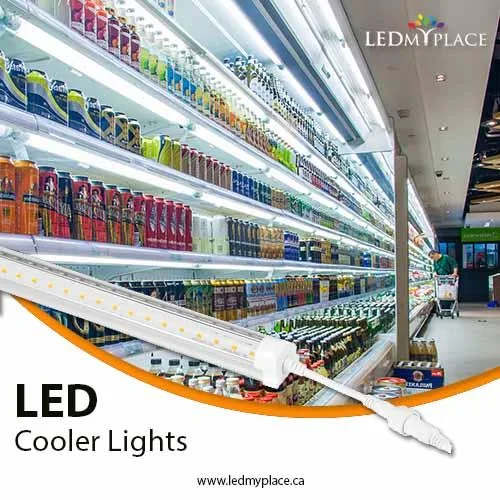LED Cooler Tube is best for displaying your products in stores