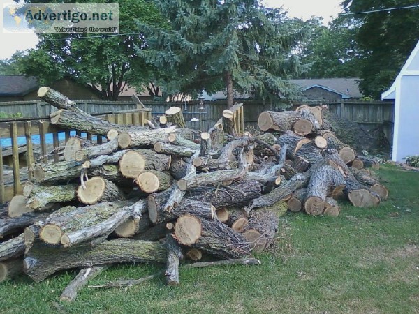 Free Fire Wood