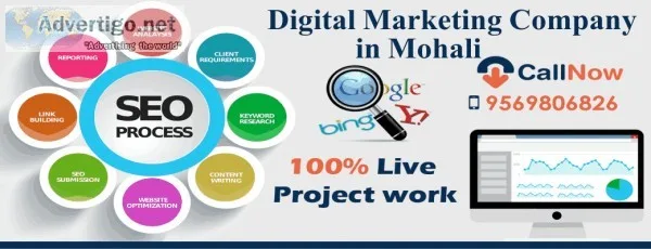 Seo Course in Mohali