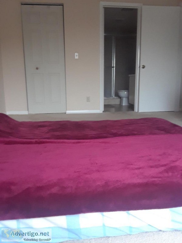 Room for rent