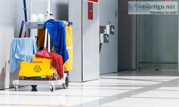 Best Deep Scrub Carpet Cleaning in Maine