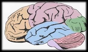 Mid Brain Activation Techniques in India