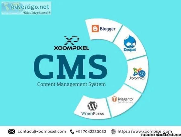 Seo Services in Delhi NCR