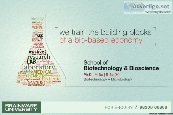 Ph.D.  M.Sc  BSc (H) in Biotechnology Microbiology from Brainwar