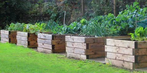 Sycamore Hill Construction specializes in raised garden beds