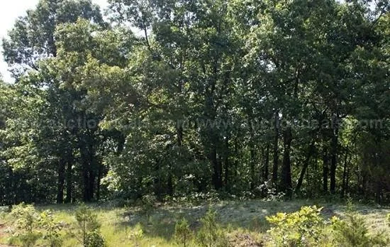 Adjacent Real Estate Lots Near Lakes Cherokee Village