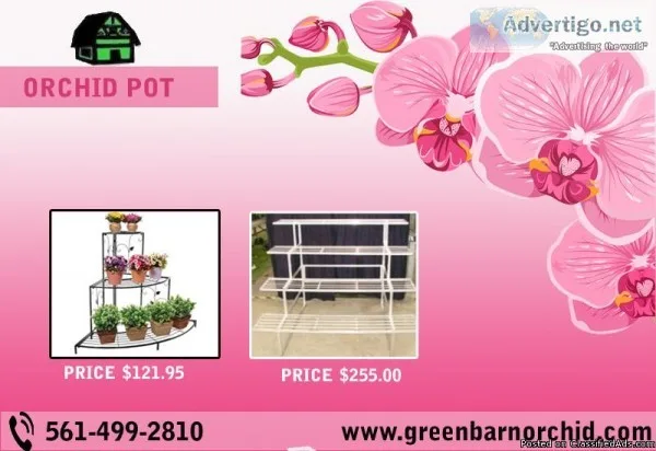 Get best orchid stand shop from Green Barn Orchid Supplies