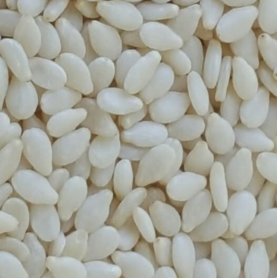 Hulled sesame seed Indian origin hulled sesame seed