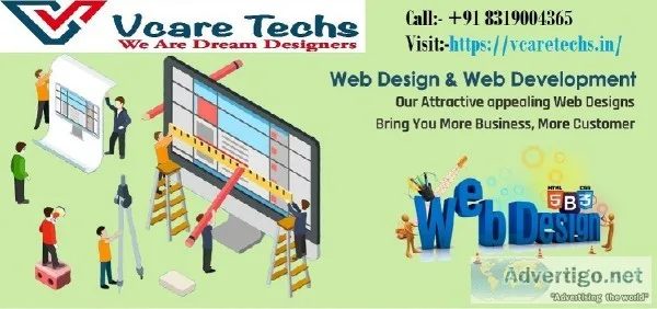 Website Development Company in Delhi India Website Designing Noi