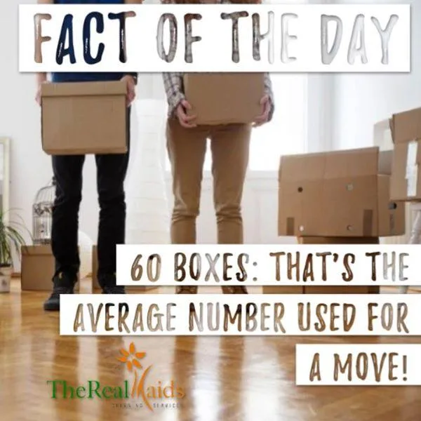 Move Out Move In Deep Cleaning services