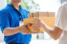 Searching for a Courier services in delhi
