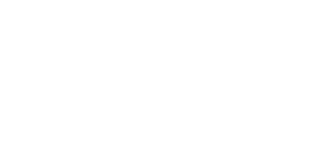 THEVOZ Attorneys LLC