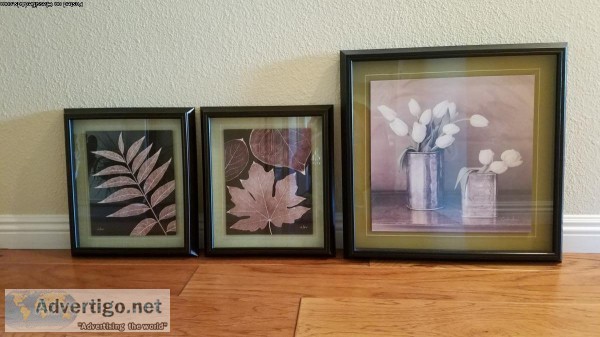 Pictures glass framed and matted