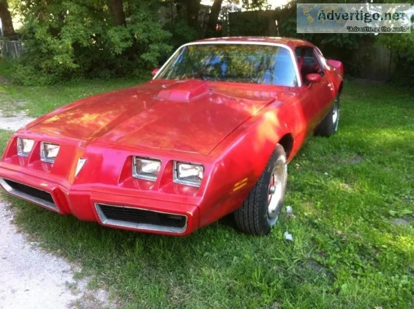 81 pontiac firebird