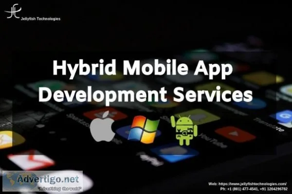 Hire Professional hybrid mobile app Developers