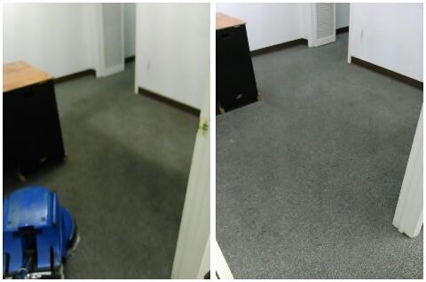 Carpet and upholstery cleaning free estimates same and next day 