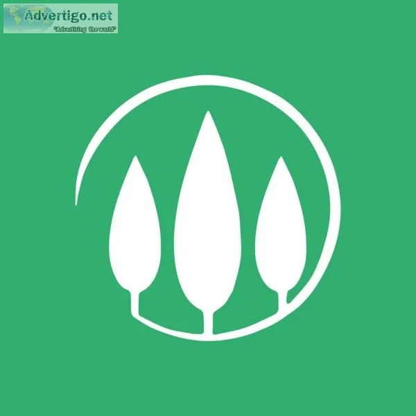 Quality Healthcare and Caregiver - Blogs  3 Trees Community Supp