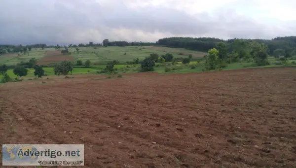 8 Acre of Good Scenic View Agriculture Land for sale in Belur