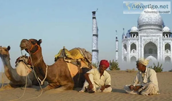 Look at Optima Travels for Golden Triangle with Pushkar Tour