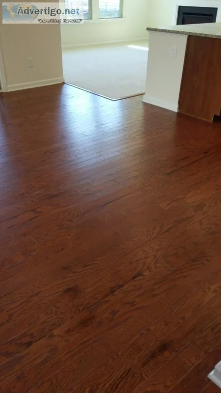 House Cleaning and Organization
