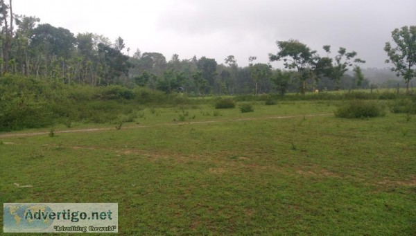 1 Acre of Agriculture Land for Sale in Sakleshpur
