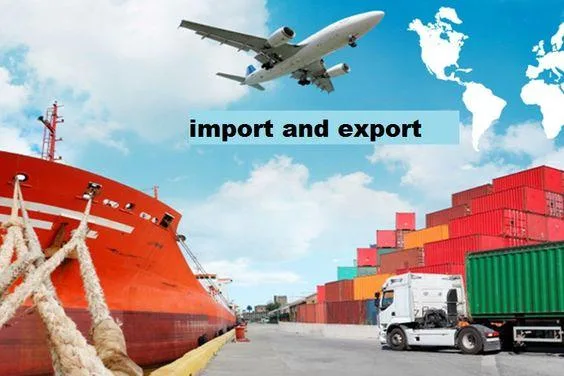 mme mireille de keiser Importer Data