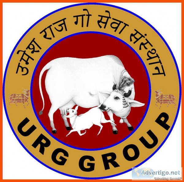 URG_URG GROUP Umesh-raj-go-seva-sa nsthan