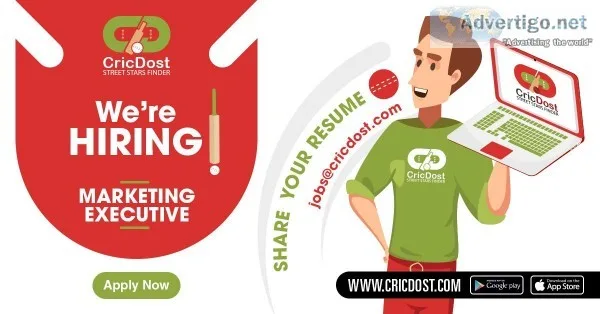 Marketing Executive