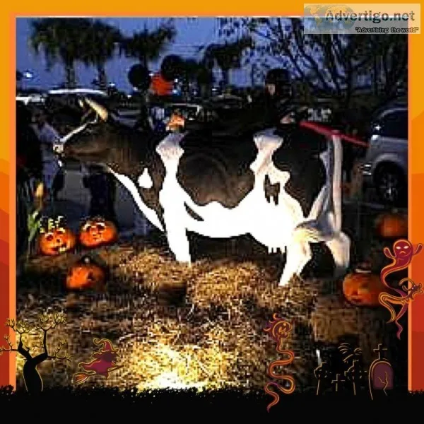 Life Size Cow