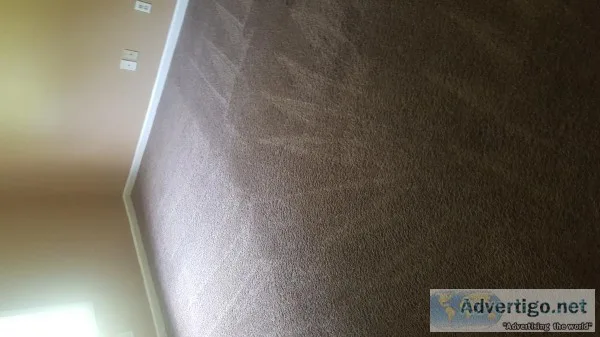 MR. XTREME CARPET CLEANING SERVICES