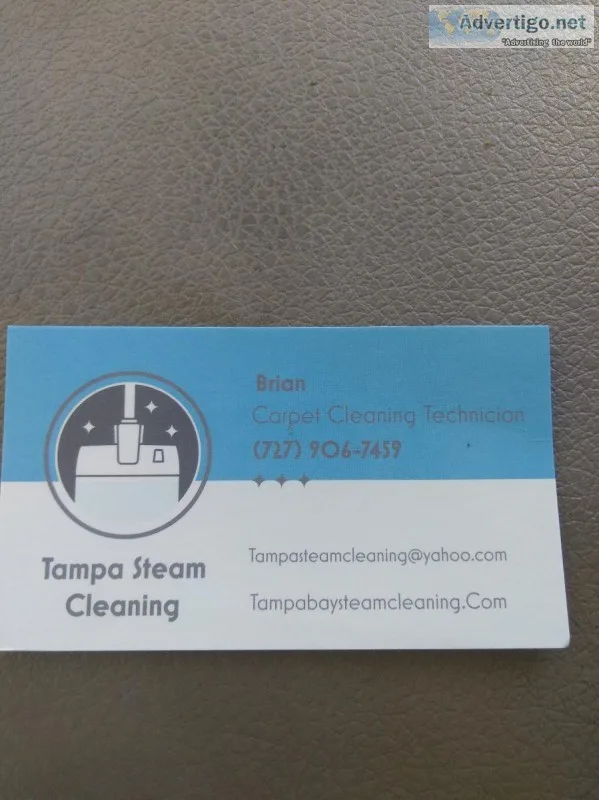 Whole house carpet carpet cleaning ( upto 1000 sqft) 100