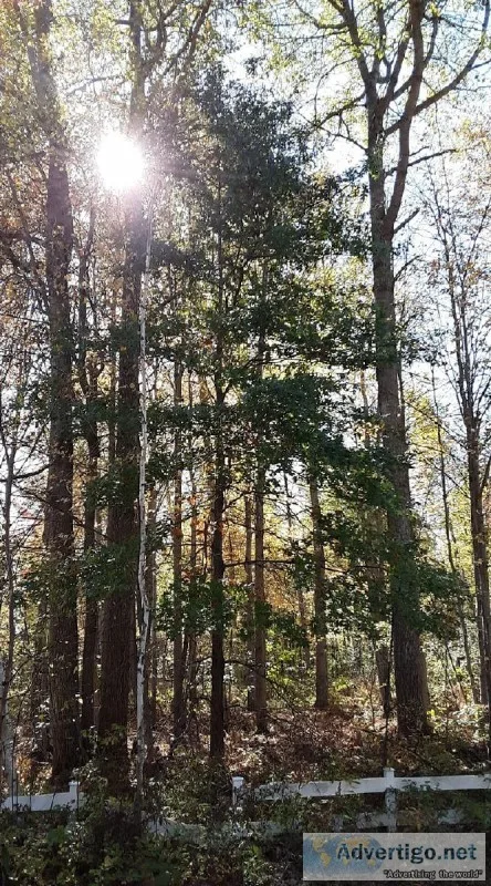CAMP HUNT OR BUILD 30 ACRES