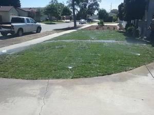 NEW LAWN OR READY FOR SOMETHING ELSE