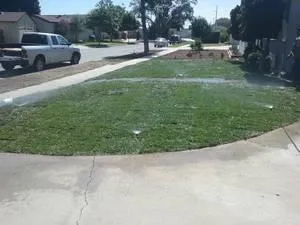 NEW LAWN OR READY FOR SOMETHING ELSE