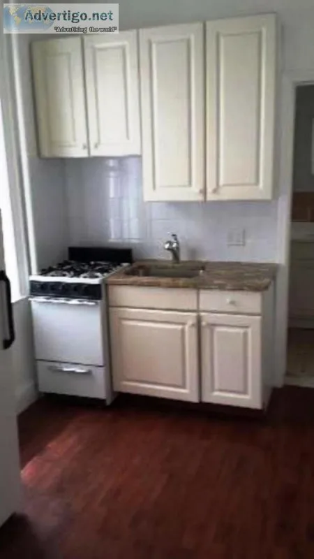 Newly Renovated 1 BR Apt. - Dyker Heights