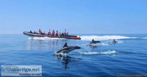 Caves Tours Faro  Watersportsvilamoura .com