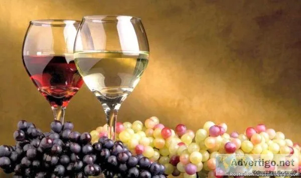 Wine Lovers