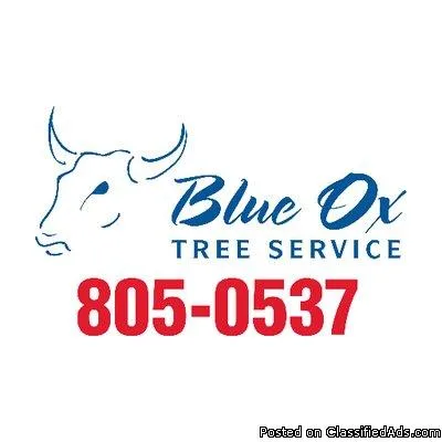 Lincoln Tree Service